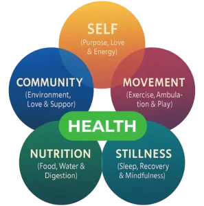 Our Mission
