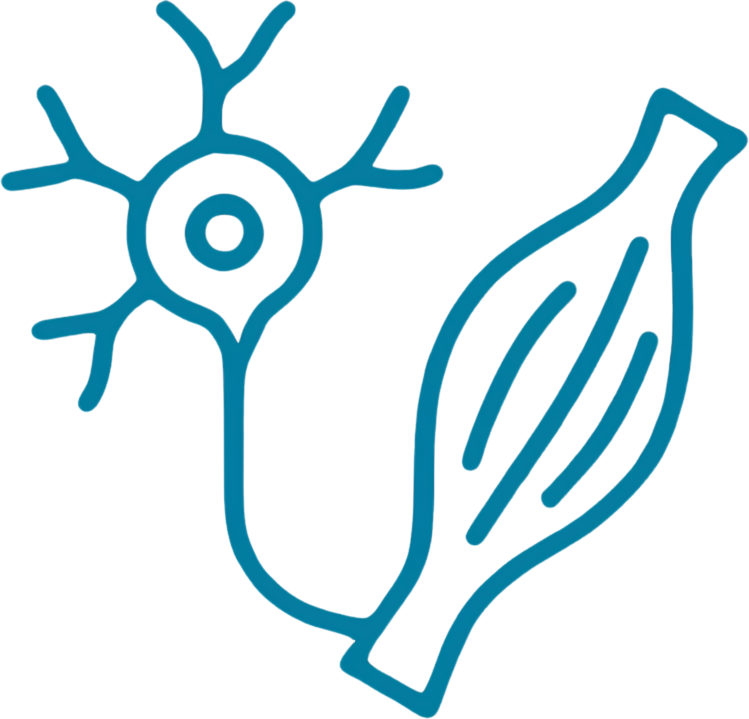 Amyotrophic Lateral Sclerosis (ALS)