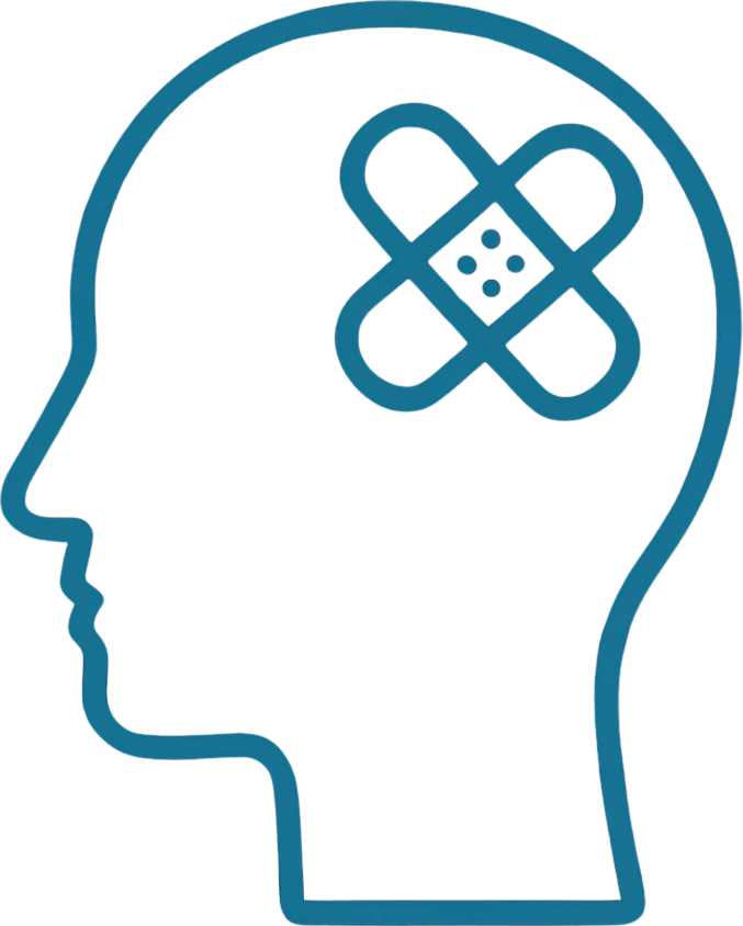 Concussion head injury